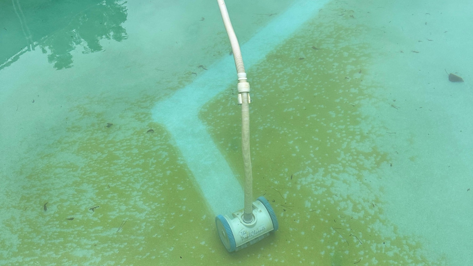 Proven Tips to Keep Your Pool Algae-Free